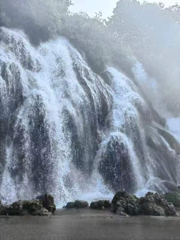 核桃树种植一棵会不会成活.结果？游戏画面