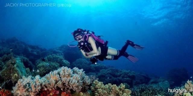 卫星化学2023年最高预盈52亿 加快产业链投资近三年研发费超35亿