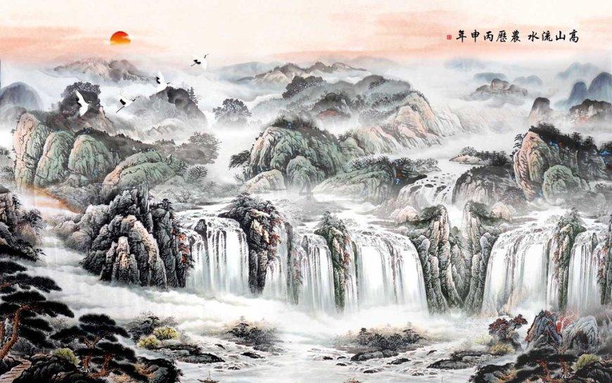 细胞分裂6