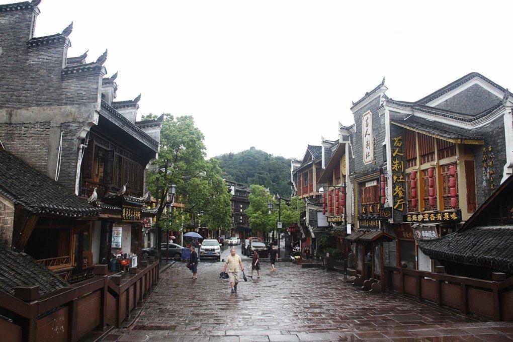 可爱啄木鸟逃脱